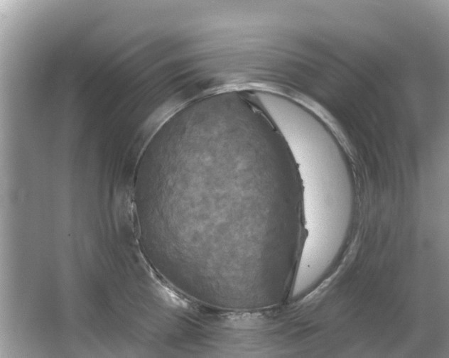 X0000066970809200603311447