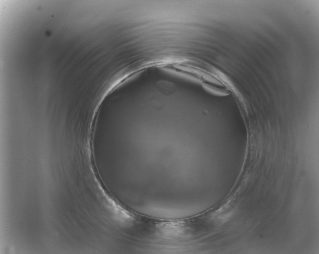 X0000066970810200603311447