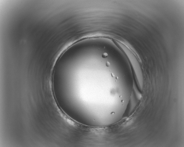 X0000066970813200603311447