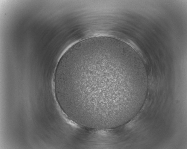 X0000066970814200603311447