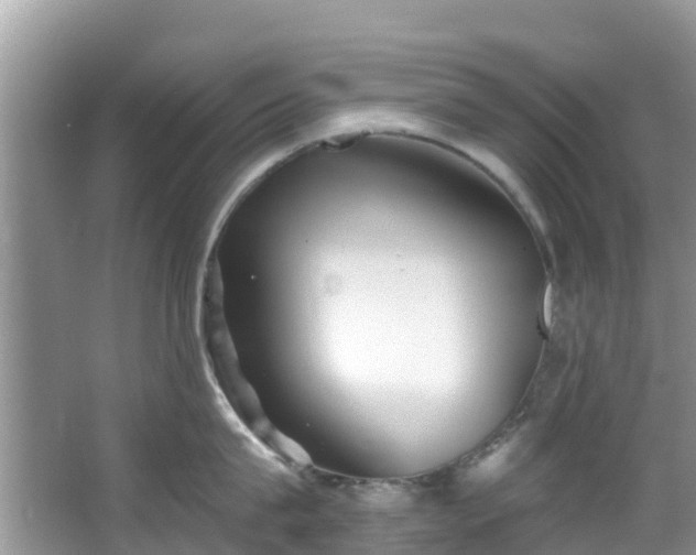 X0000066970815200603311447