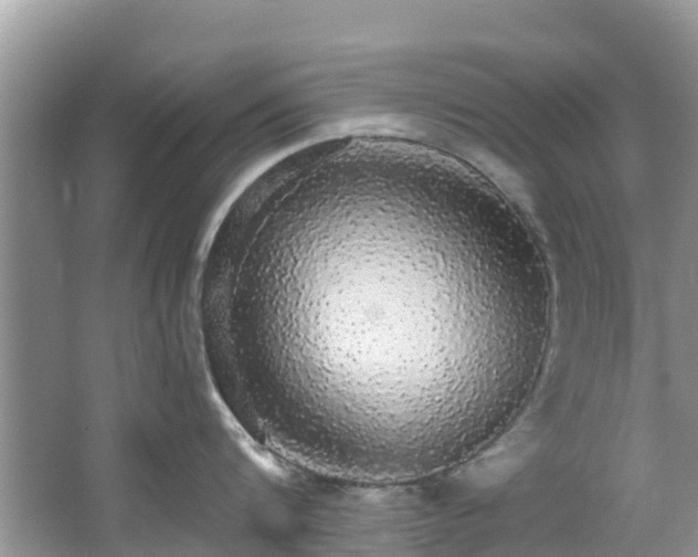 X0000066970816200603311447