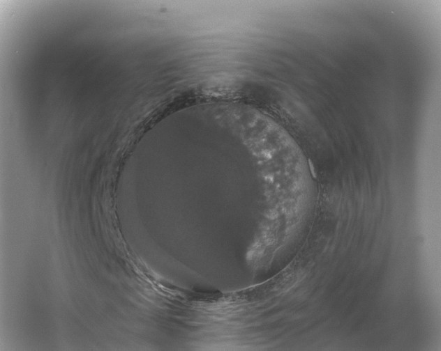 X0000066970817200603311446