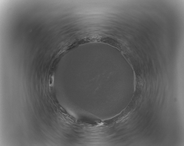 X0000066970818200603311446