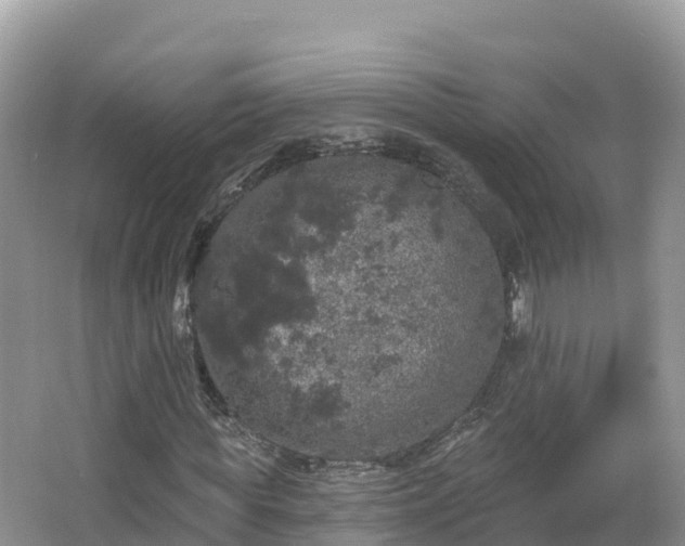 X0000066970819200603311446