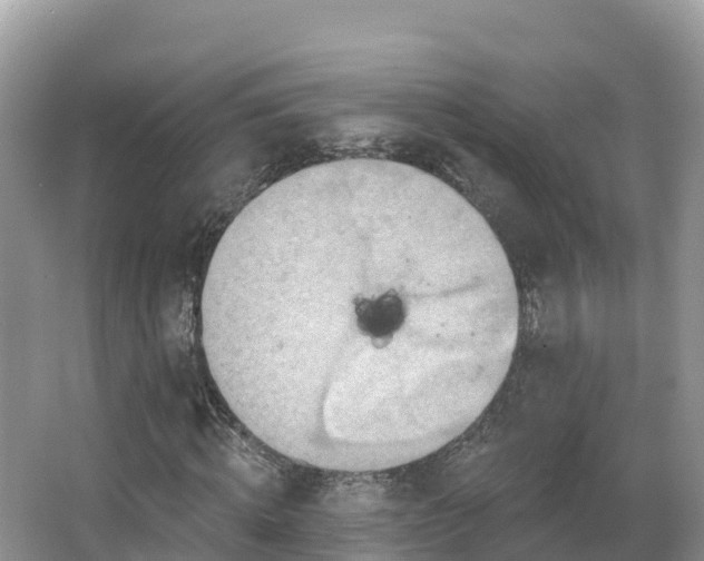 X0000066970820200603311447