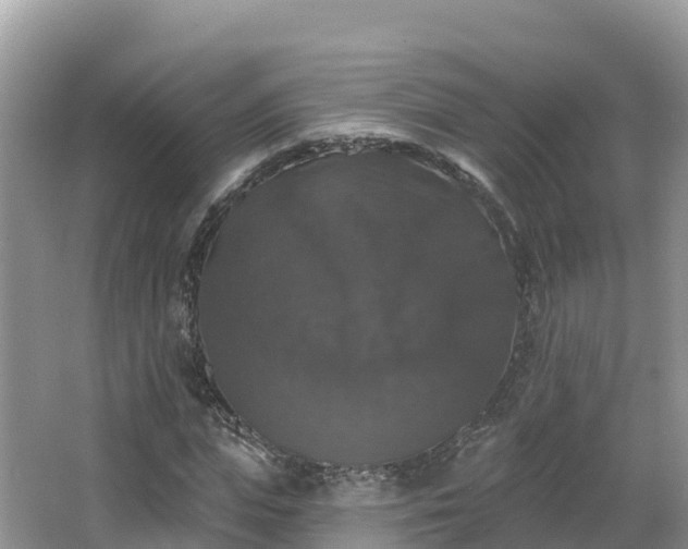 X0000066970823200603311447