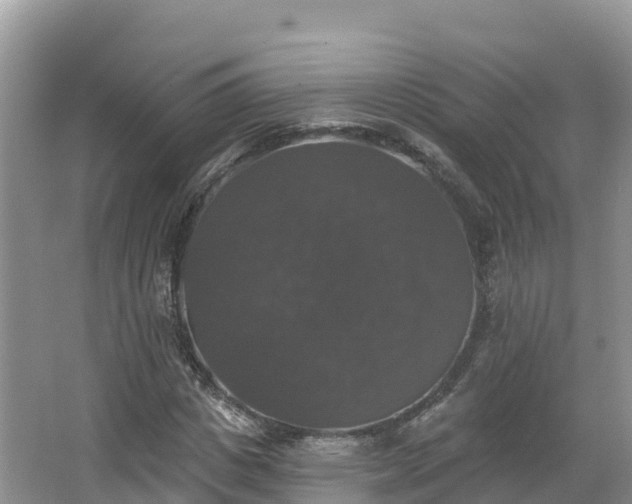 X0000066970825200603311447