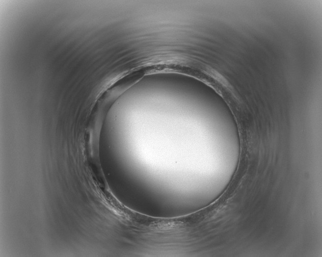 X0000066970826200603311447