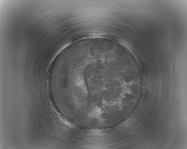 X0000066970827200603311447