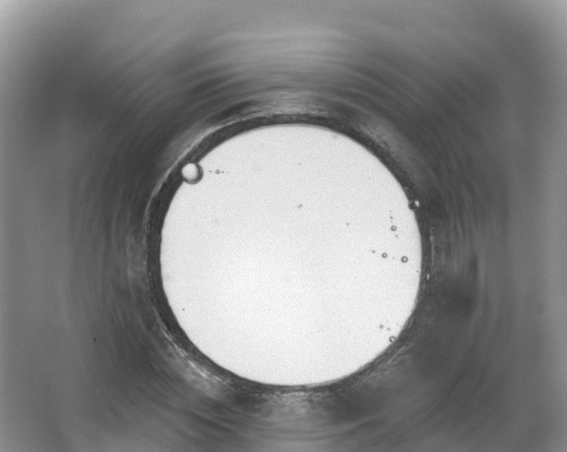 X0000066970828200603311447