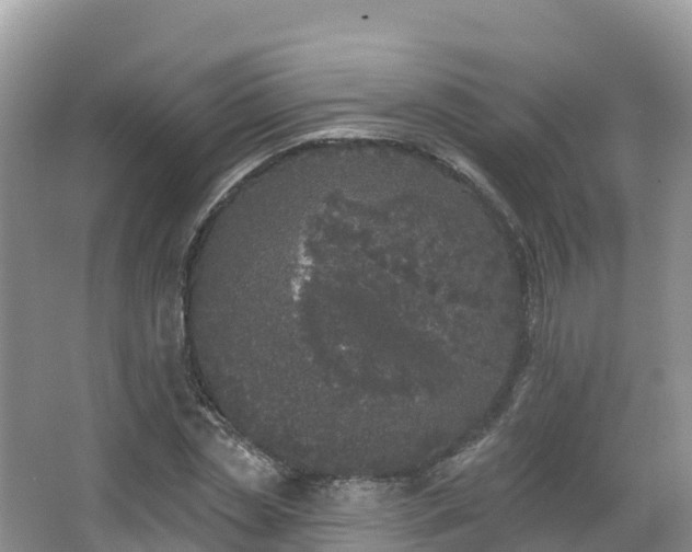 X0000066970829200603311447