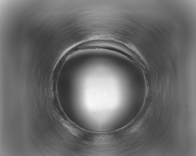 X0000066970830200603311447