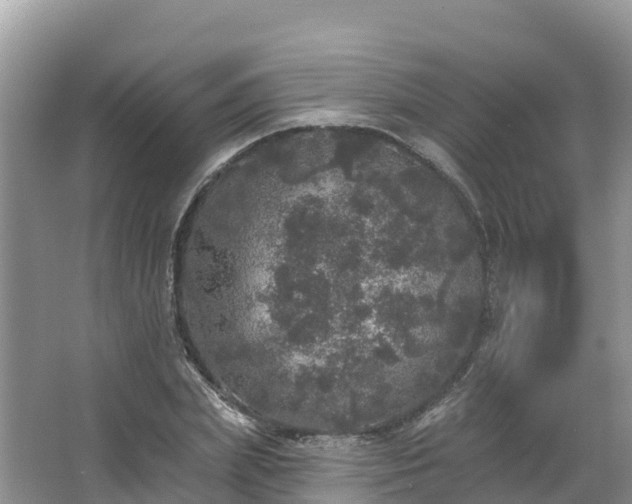 X0000066970831200603311447