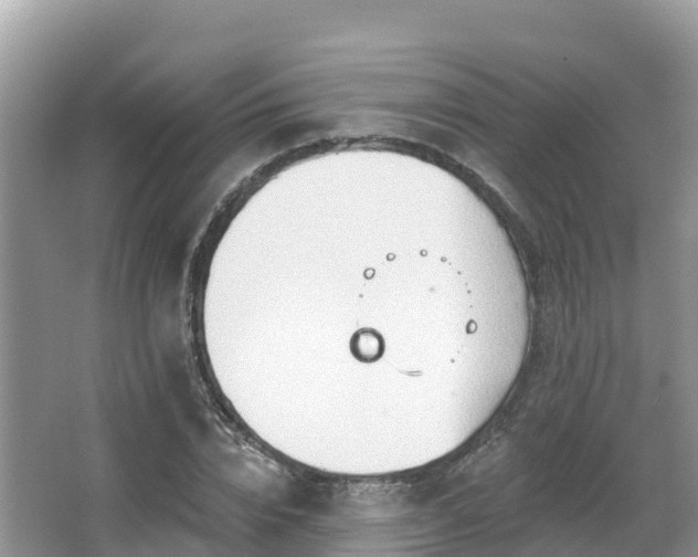 X0000066970832200603311447