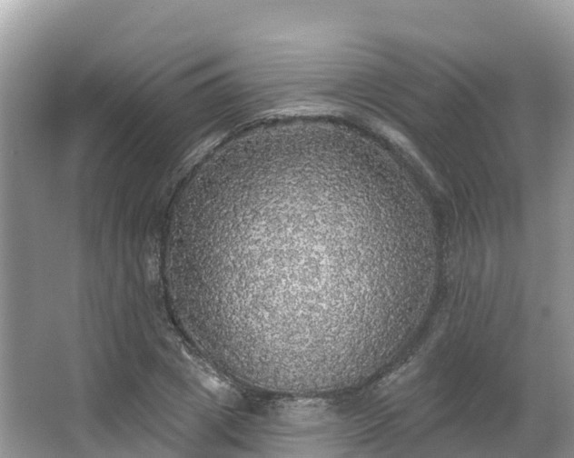 X0000066970833200603311447