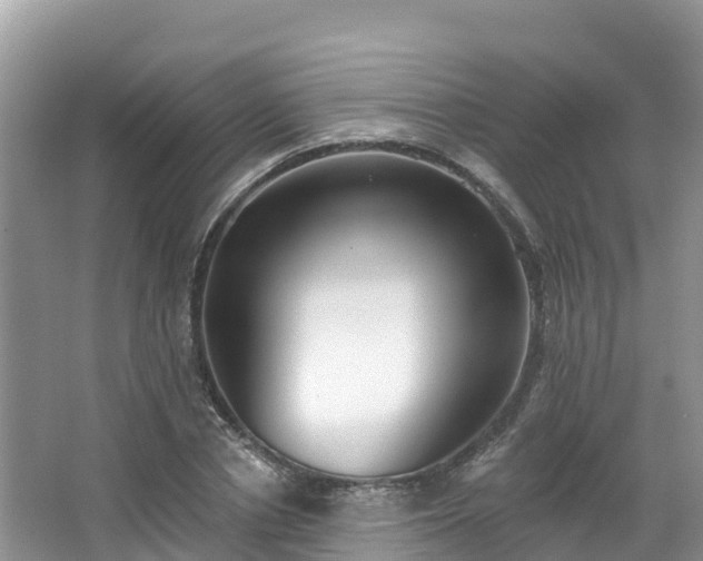 X0000066970834200603311447