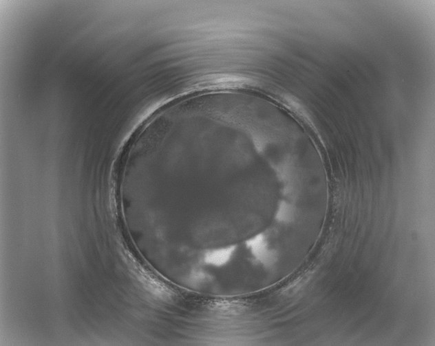 X0000066970835200603311447