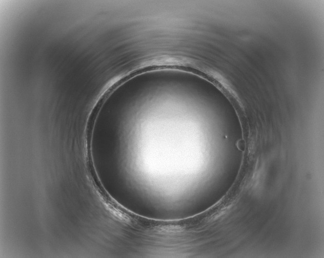 X0000066970837200603311447