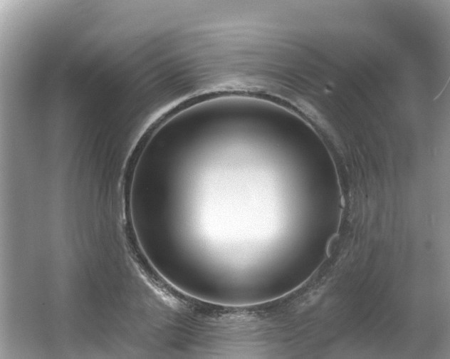 X0000066970838200603311447