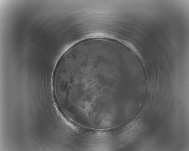 X0000066970839200603311447