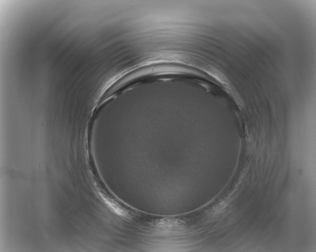 X0000066970842200603311447