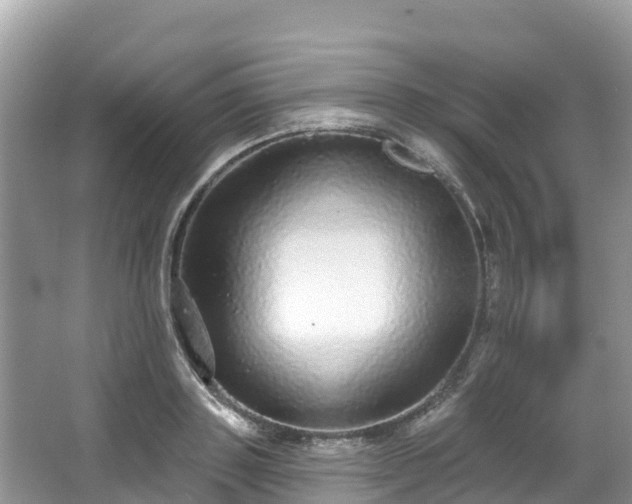 X0000066970843200603311447