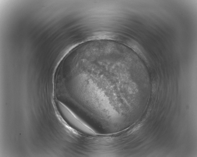 X0000066970844200603311447