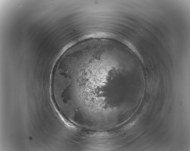 X0000066970845200603311447