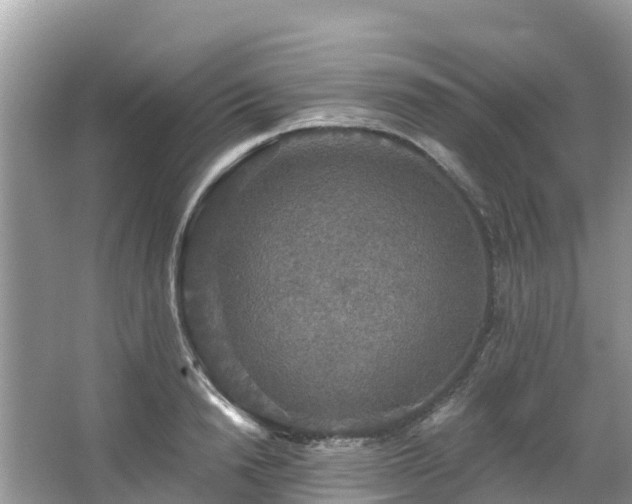 X0000066970846200603311447