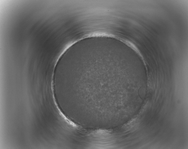 X0000066970847200603311447