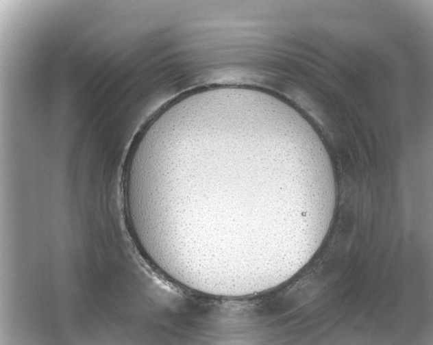 X0000066970848200603311447