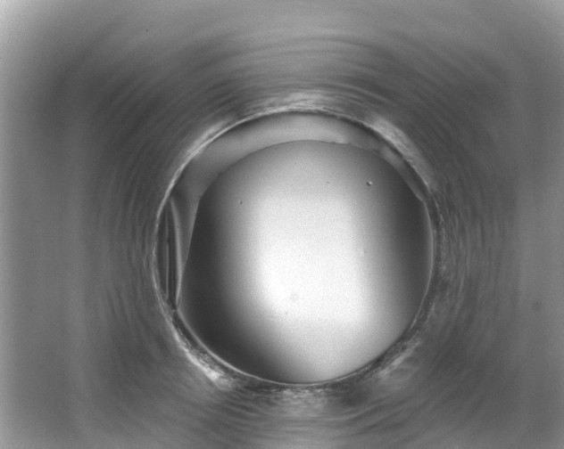 X0000066970850200603311447