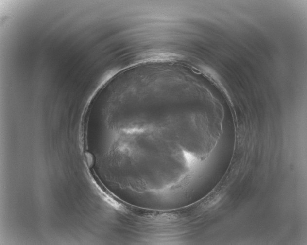 X0000066970851200603311447