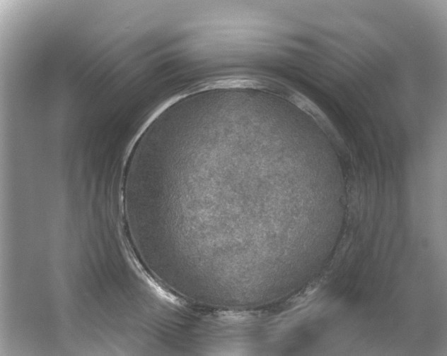 X0000066970852200603311447