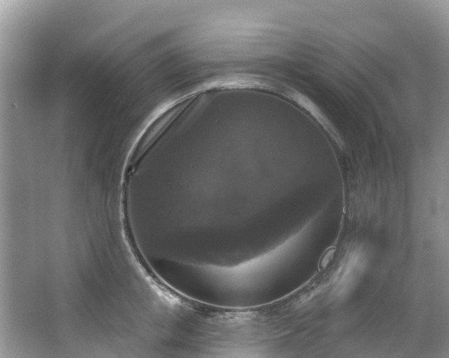 X0000066970853200603311447