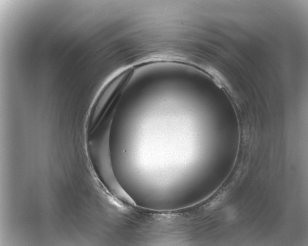 X0000066970854200603311447