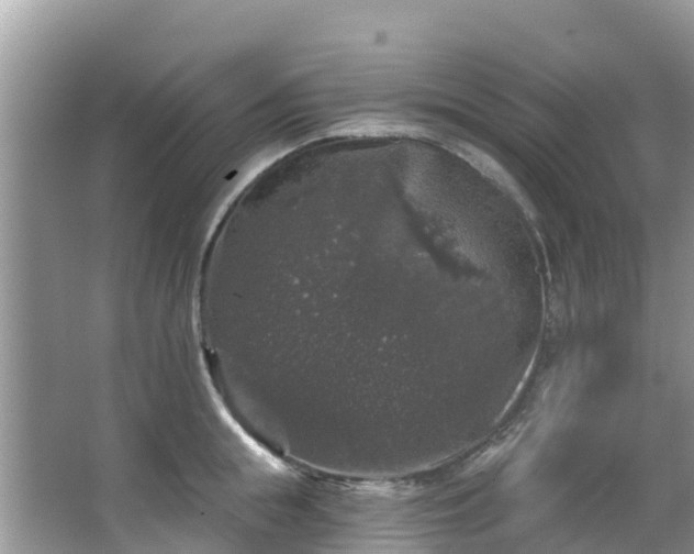 X0000066970855200603311447