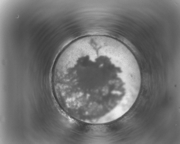 X0000066970856200603311447