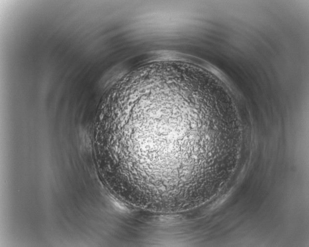 X0000066970857200603311447