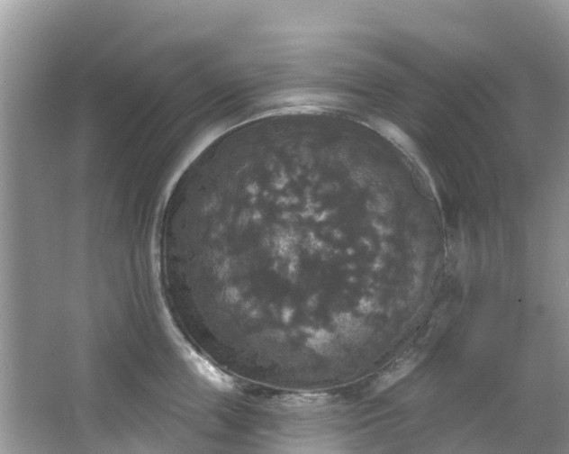 X0000066970859200603311447