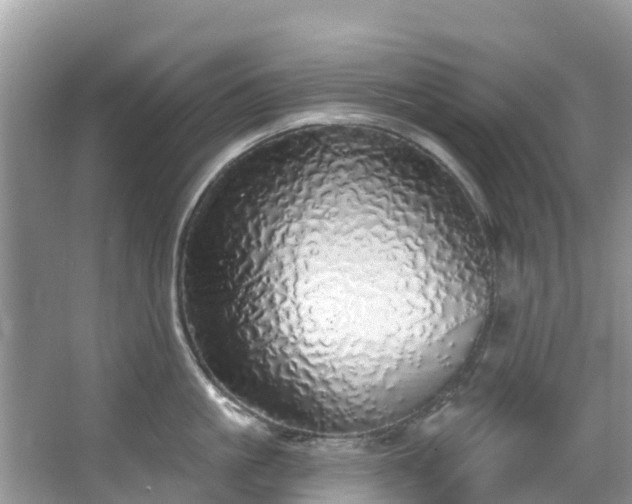 X0000066970861200603311447