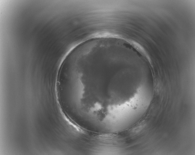 X0000066970863200603311447