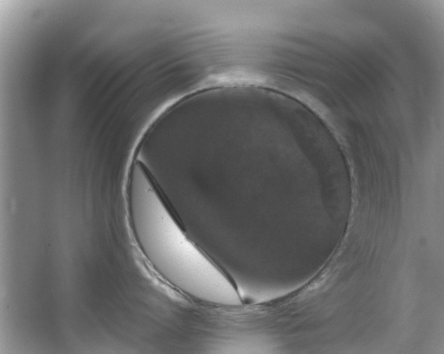 X0000066970864200603311447