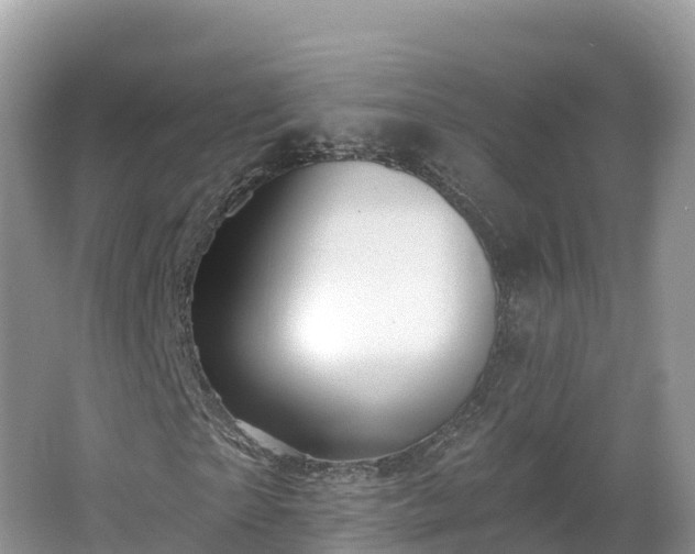 X0000066970865200603311446