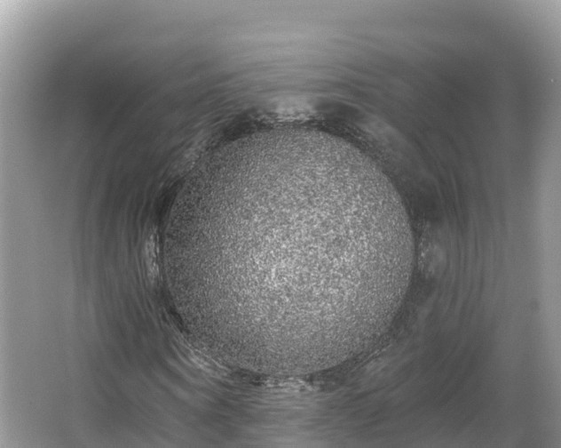 X0000066970866200603311446