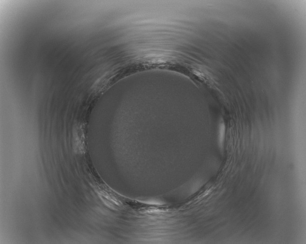 X0000066970868200603311446