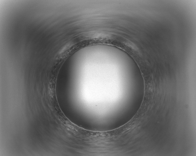 X0000066970869200603311446