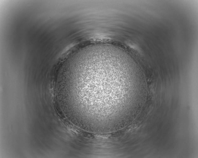 X0000066970870200603311446