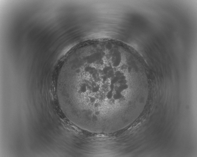 X0000066970871200603311446